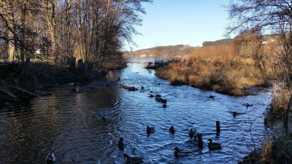 Ferienwohnung Am Sorpesee Allendorf  エクステリア 写真